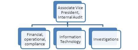 Small chart of the internal audit structure.